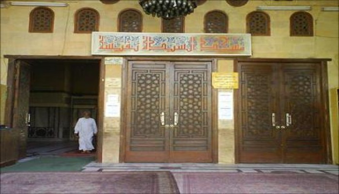 شيعة مصر قادمون على جياد اشتراكية