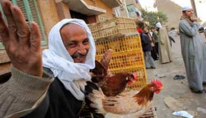 مخاوف من تحور أنفلونزا الطيور فى مصر ومصر تعطي تطمينات أن الأوضاع تحت السيطرة