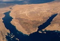 مقتل أفارقه على الحدود وثلاجة الموتي اكتظت بالجثث