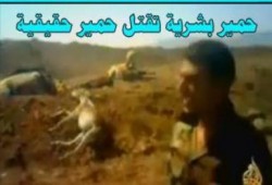 شبيحة بشار يقتلون (الحمير الصابرة ) ..(شاهده متلفز)