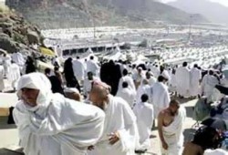 اللحمة تعفنت فظنت إدارة الفندق أن الحاج مات بغرفته