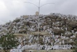مائة ألف حاج هارب