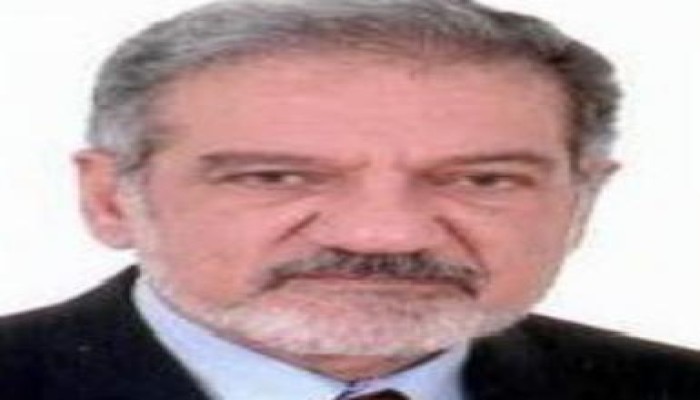 مزاعم الجنرال السلمي : الإخوان راضون عن الوثيقه والشعب يؤيدها ويؤيدني ولن أستقيل