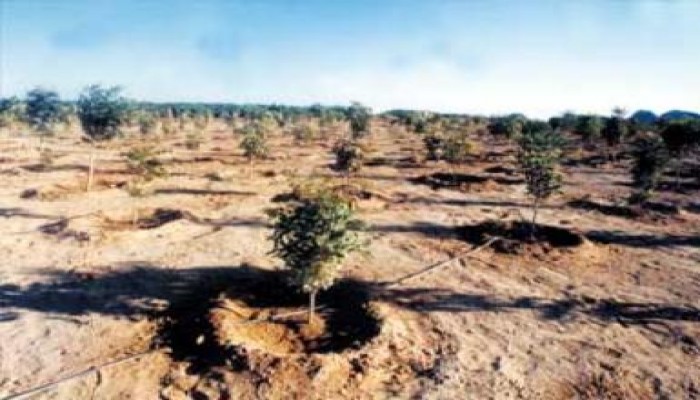 القبض على أخطر شخص فى سيناء تكفيري مسئول عن تفجير خطوط الغاز