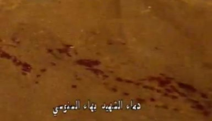 لحظه استشهاد الناشط السياسي بهاء السنوسي في الاسكندرية (متلفز)