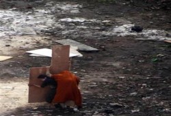 مصادر طبية: مشرحة زينهم بالقاهرة تقول ان لديها 33 جثة جراء اشتباكات اليوم والأمس