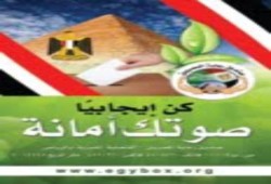 بدء التصويت فى الخارج : ضياع اليوم الأول والوقت المتاح للتصويت فى السفارات لا يكفى