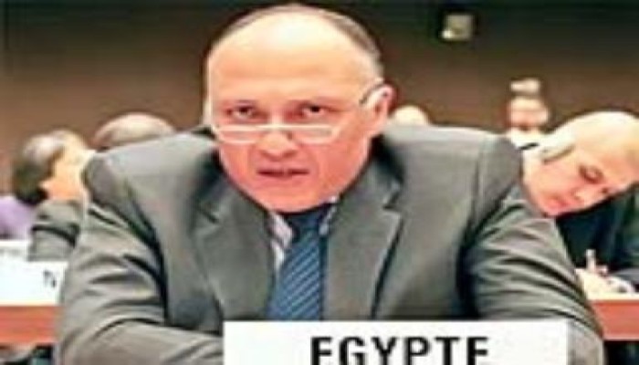 السفارة المصرية بواشنطن تنتهي من فرز أصوات الناخبين