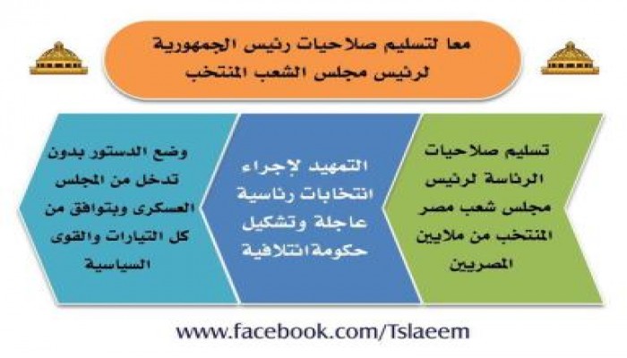 نشطاء يدعون لتسليم صلاحيات رئيس الجمهورية لرئيس مجلس الشعب القادم مؤقتاً