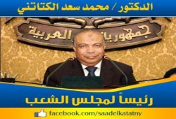 د/ الكتاتني: إدارة البرلمان القادم يجب أن تتم بصورة توافقية