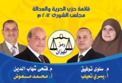 ياسر حمود ويسري تعيلب يعودان عبر بوابة الشورى بالمنوفية وفتحي شهاب الدين فى القائمة