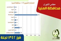 المؤشرات الأولية لنتائج الفرز في المنيا