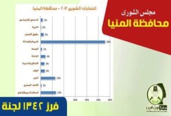 المؤشرات الأولية لنتائج الفرز في المنيا
