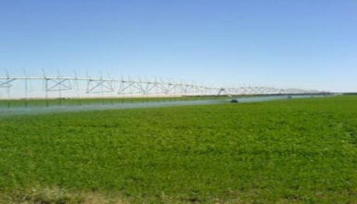 مشروع زراعي ضخم بين السودان و مصر بولاية "الجزيرة"