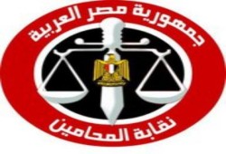 نتائج انتخابات نقابه المحامين فى الغربية والشرقية