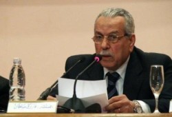 لأول مرة.. السماح للمصريين المولودين في الخارج بالتصويت في الانتخابات