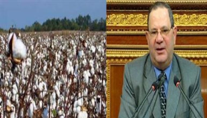وزير الزراعة بـ(حكومة الجنزوري): يقرر استيراد القطن لضرب القطن المصري المتكدس لدي الفلاحين
