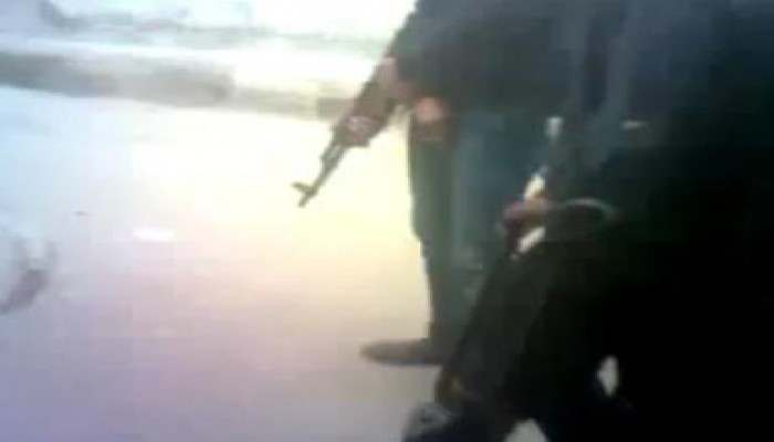 عملية نوعية للجيش الحر ضد شبيحة الأسد (متلفز)