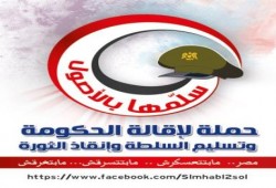 إخوان الإسكندرية يدشنون حملة ( سلمها بالأصول )