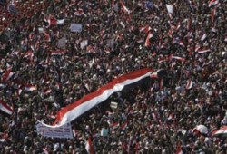 كارينجي: الإخوان دافعوا عن الديمقراطية خلال الفترة الانتقالية وتعاملوا بصبر كبير