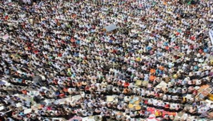 الفلول فى المصيده  و الشعب على العسكري  إيد واحده  ...(ملف مصور)