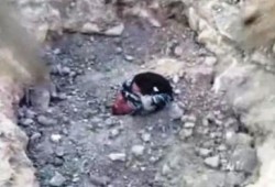 شبيحة (المجرم) بشار يدفنون شاب حيًا ويلقنوه: (لا إله إلا بشار) وهو يموت