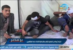 بلطجية العباسية يحملون كارنيهات الوطني المنحل (متلفز)