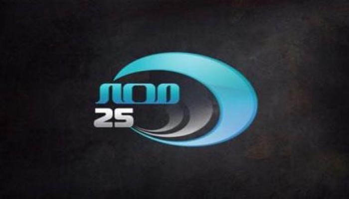 مظاهرة بالصحفيين ضد اعتقال طاقم "مصر 25"