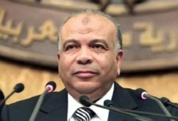 الكتاتنى: مجلس الشعب انتهى من وضع معايير تأسيسية الدستور