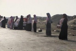 السلسلة البشرية بورسعيد (مصور)