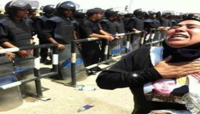 القاضي قال مفيش دليل؟ أنا الدليل (متلفز)