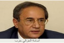 أسامة الغزالي حرب يعود إلى ماضيه (الوطني) ويعلن دعم شفيق !!