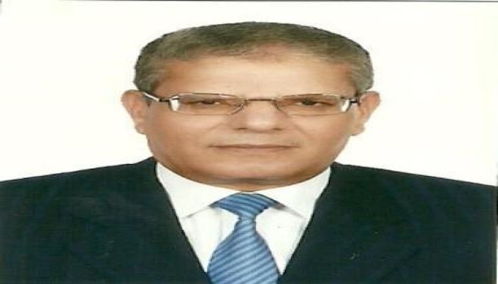 نائب رئيس مجلس الدولة: الديموقراطية تحت التجربة