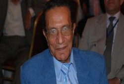 د/ عاطف البنا: حكم "الدستورية" لا يقتضى حل البرلمان بالكامل