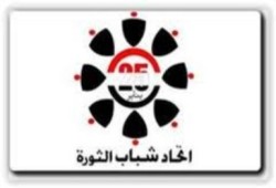 اتحاد شباب الثورة: يهنئ المصريين بفوز مرسي ويحذر العسكري من عرقلة تسليم السلطة