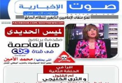 "هنفضحكم يا كذابين" حملة شبكة صوت الإخبارية لفضح إعلام الفتنة والفلول