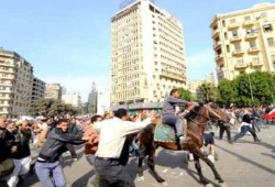 "الرويني" :  شهادة البلتاجي  في موقعة الجمل  صحيحه