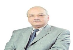 د/ محمود أبوالعيون: (معلومات عامة)