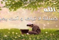 د. هبة رءوف عزت : كلما زادت المعاصي توارت الروح خلف حُجُب الشهوات