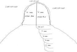 الثروة السمكية تطلب استعادة أرض البحيرات المرة التي استولى عليها المخلوع واتباعه