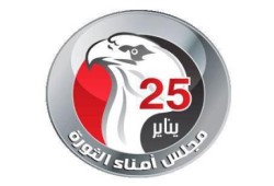 أمناء الثورة: مظاهرات 24 أغسطس مشبوهة وهدفها الانقضاض على ثورة 25 يناير