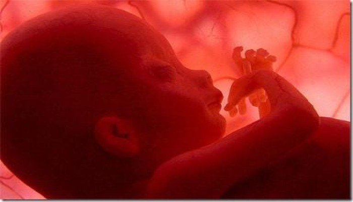 عالم يهودي يعتنق الإسلام بعد بحثه في علم الجينات والعلاقات الاجتماعية