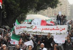 مسيرات بأنحاء مختلفة بالجمهورية ضد (السفاح) بشار الأسد (صور)