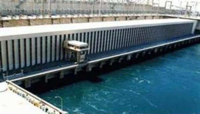 اصطياد تمساح طوله 3.5 متر بميناء الركاب بالسد العالي
