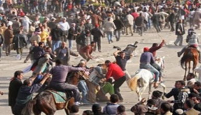 مصدر قضائى مسئول: النيابة العامة لم تباشر التحقيقات فى قضية الجمل