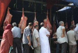 الحكومة تعرض لحوم العيد في المجمعات الاستهلاكية بسعر 40 جنيها للكيلو