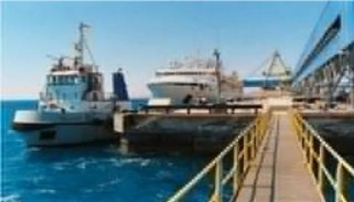 وصول ثلاث بواخر إلى ميناء الإسكندرية على متنهم 7678 سائحا