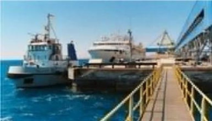 وصول ثلاث بواخر إلى ميناء الإسكندرية على متنهم 7678 سائحا