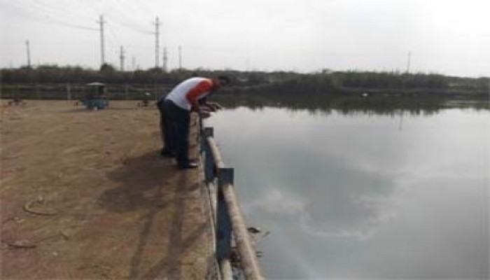 وقف محطات المياه ببنها وطوخ لظهور بقعة الزيت في النيل بالقليوبية