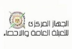 الإحصاء: 9,2% تراجع في أعداد العاملين بالقطاع الحكومي 2011 - 2012